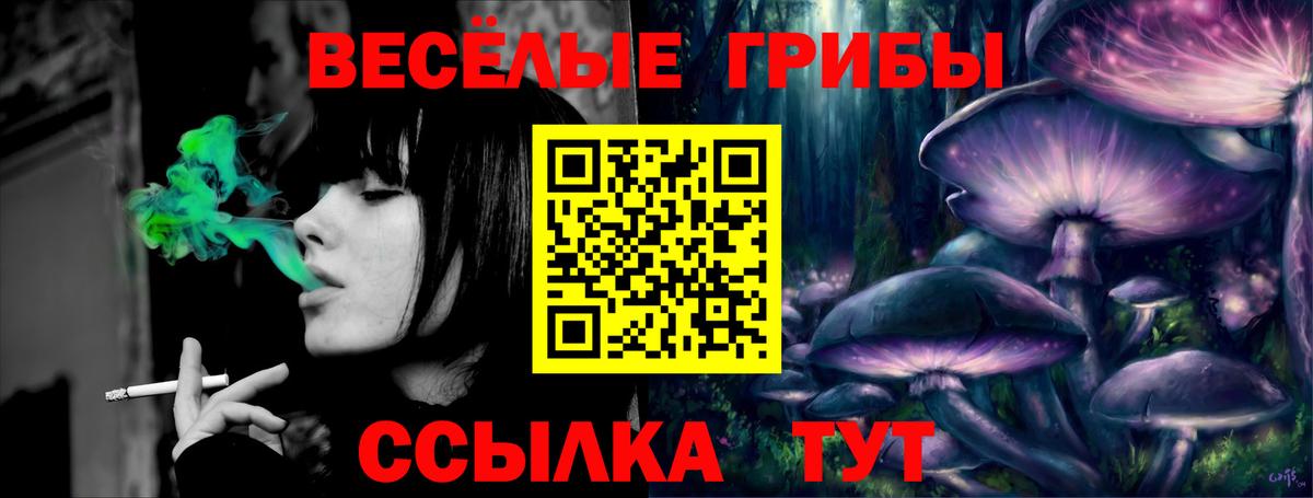 Галлюциногенные грибы Psilocybine cubensis Калач-на-Дону